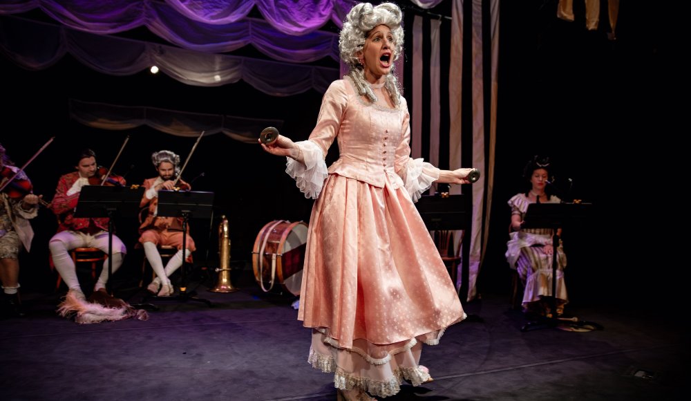 Mejdan s Mozartem aneb Opera má tuhý kořínek