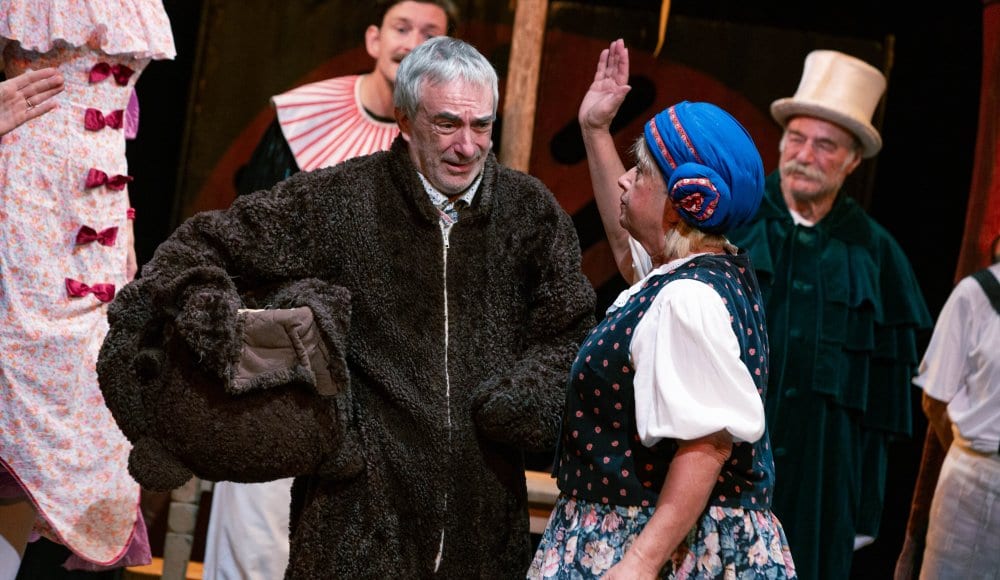 V Y Prodaná nevěsta